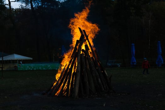 Beautiful fire flames on a campfire photo