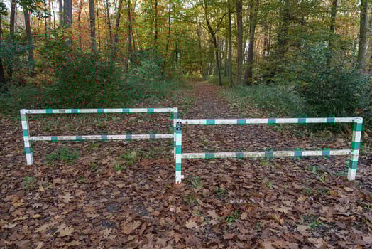 Two green and white barriers in the woods photo