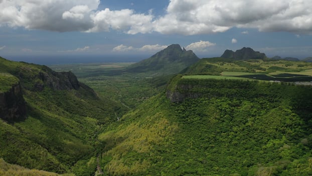 top-down aerial view of the gorge-Mauritius near the river gorge National Park photo