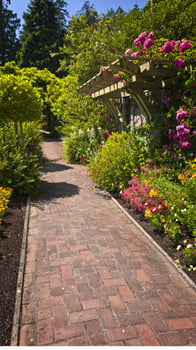 A brick pathway photo