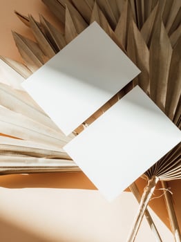 Two blank white cards on dry palm leaves background with shadows photo