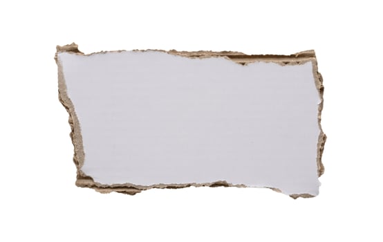 piece of white paper tear isolated on white background photo