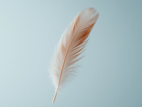 Soft feather against a pastel background photo
