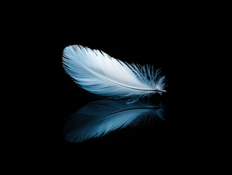 Delicate feather floating on dark background photo