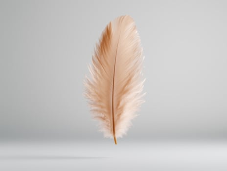 Soft and delicate feather against a plain background photo