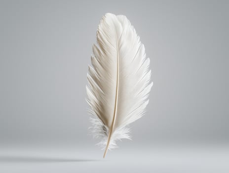 Elegant white feather against a gray background photo