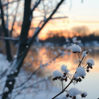 Snowy winter sunset in the forest photo