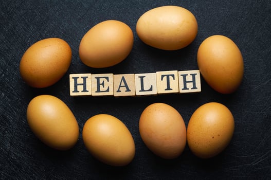 Egg with brown shell put beside Health word wood block photo