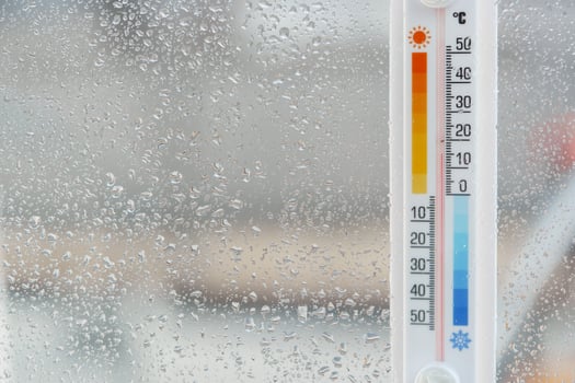 Thermometer Attached to Window With Rain and Plant photo