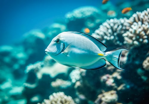 Tropical reef fish in vibrant coral habitat for marine wildlife photography photo