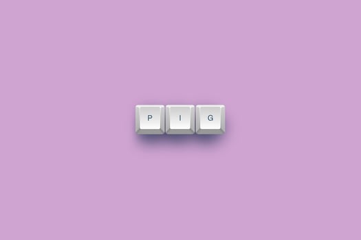 pig text on a 3d keyboard button with shadow concept series photo