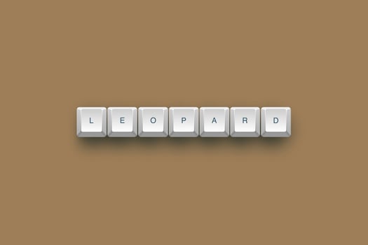 Leopard text on a 3d keyboard button with shadow concept series photo