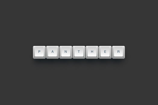 Panther text on a 3d keyboard button with shadow concept series photo
