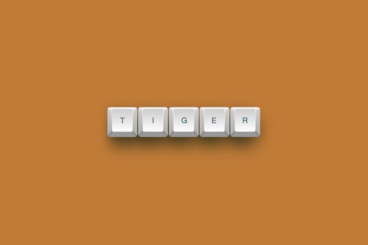 Tiger text on a 3d keyboard button with shadow concept series photo