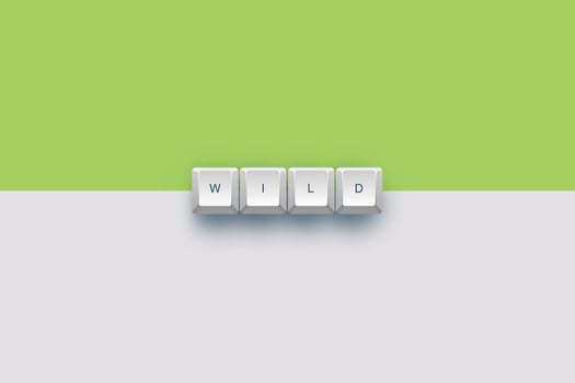 Wild text on a 3d keyboard button with shadow concept series photo