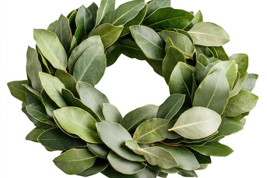 Laurel wreath forming a circle on a white background photo