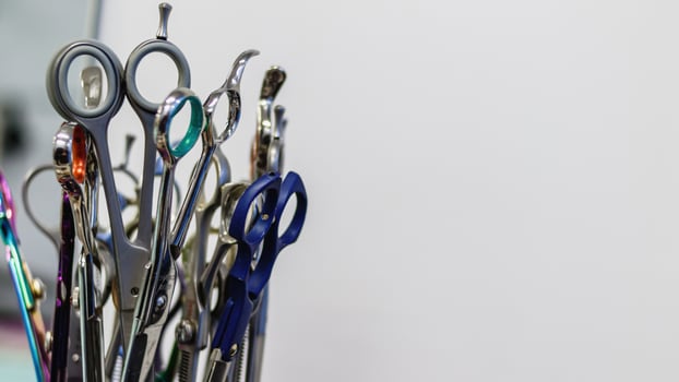 Collection of scissors in grooming salon and pet spa photo
