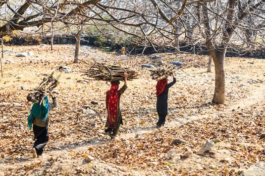 View row of native indian women in coloful costume carrying home a bundles of firewood on their head walking in the rural of India. photo