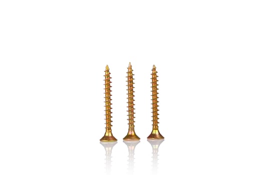 macro screw of golden color on a white background photo