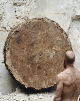 Weathered wooden log against concrete wall photo