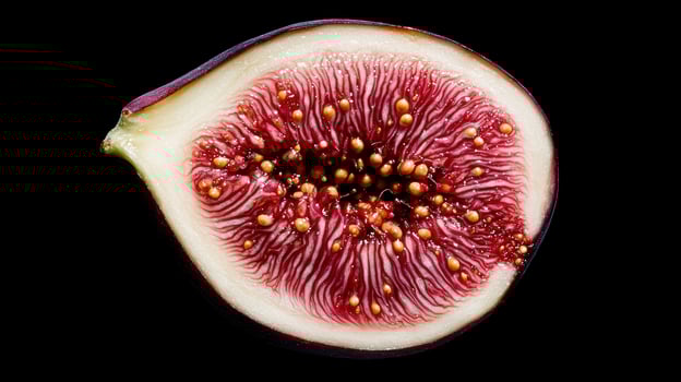 Close up of a vibrant red fig cross section photo