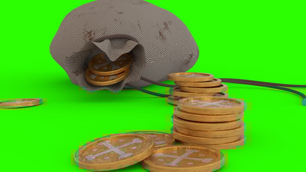 golden coins in pouch with green background photo