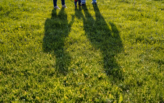 shadows of people falling on the grass in the evening, the silhouette of a family on the lawn photo