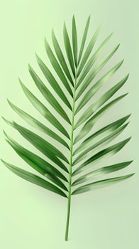 Closeup of a palm leaf, a symmetrical organism on a green background photo