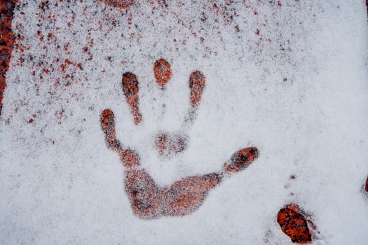 A handprint in the snow photo