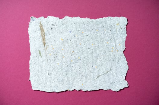 A sheet of paper with dried roses made of recycled paper. Secondary production. Making paper with your own hands at home. photo