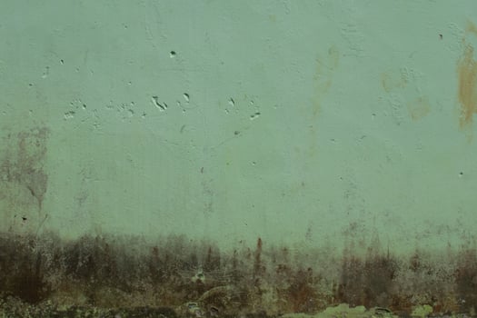 green paint colored cement wall background photo