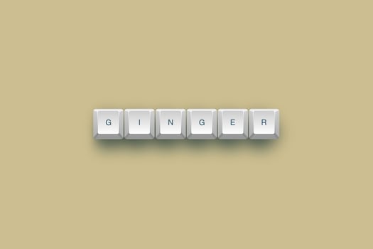 Ginger text on a 3d keyboard button with shadow concept series photo