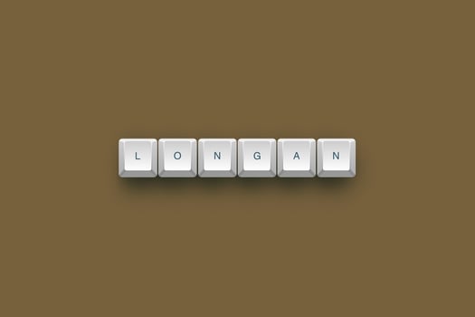 Longan text on a 3d keyboard button with shadow concept series photo