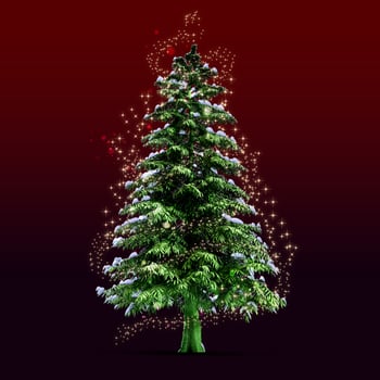 A christmas tree with snow on it photo