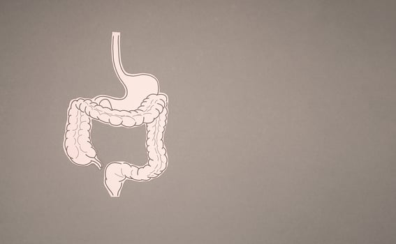 A large intestine shape made from paper over a gray background photo