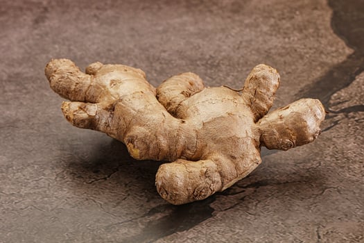 Ginger root for cooking and medicine photo