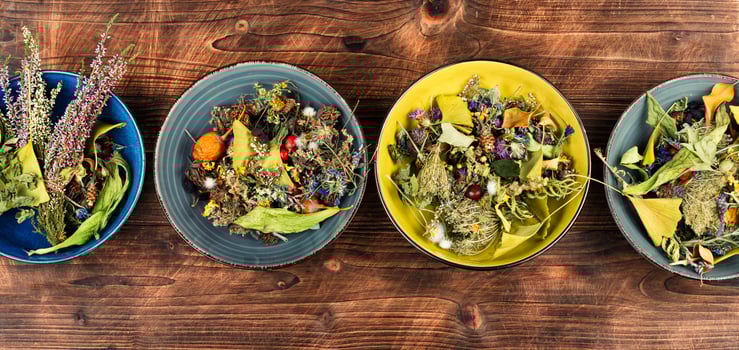 Dried medicinal herbs, herbal medicine. photo