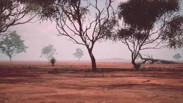 A rural landscape with trees in a vast open field photo