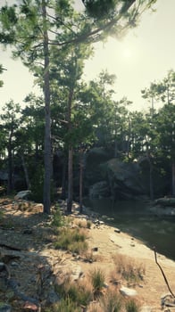 Towering Trees and Rocky Shoreline Surrounding Lake photo