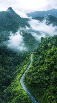 Aerial view of a winding road through lush mountains and misty forests photo