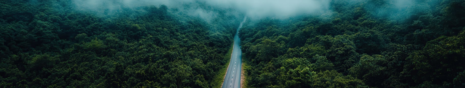 Aerial view of a winding road through lush green forest photo
