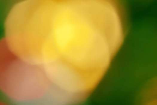 abstract blur bokeh photo