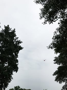 Red helicopter flying above tall trees on a cloudy day photo