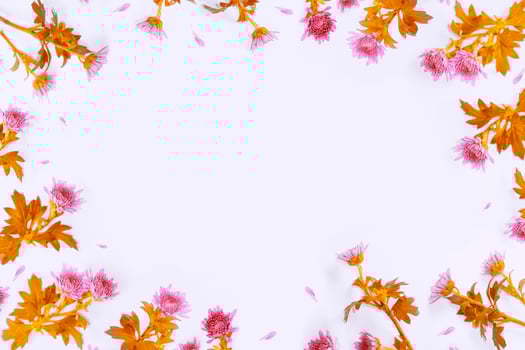 floral frame chrysanthemum. Beautiful flowers composition. photo