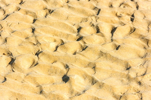 Top view of a sand sea bottom photo