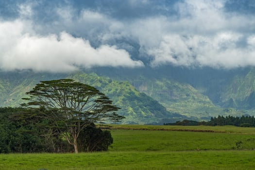 Rural scenic beauty of Kauai near Pukaki Reservoir. Clouds over the hills and fields on the Island of Kauai photo