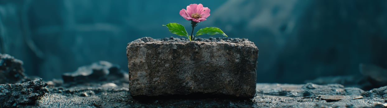 Resilient flower growing from rocky soil photo