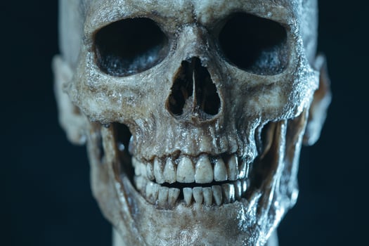 Creepy close up of a human skull photo