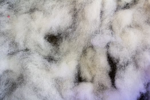 Close up of White Cotton Fiber Texture on Dark Background photo