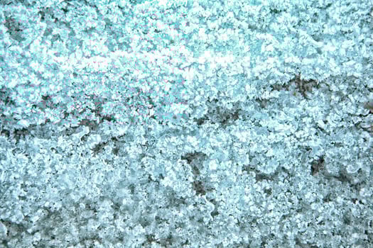 frost texture. frozen ice on the grass. winter hoarfrost background photo